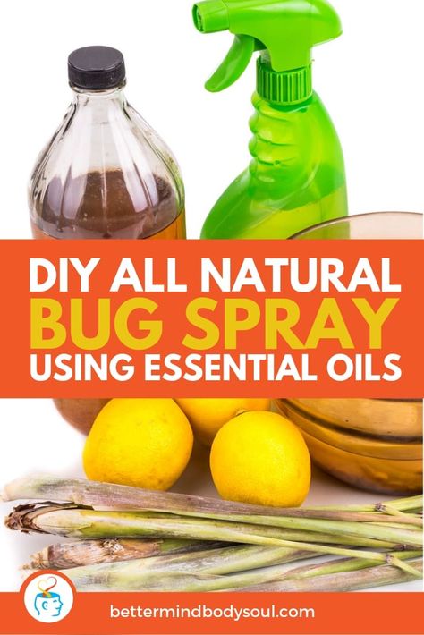 Peppermint Bug Spray Recipe, Essential Oil Bug Spray For Home, Vanilla And Water Bug Spray, Peppermint Oil Bug Spray Recipe, Diy Peppermint Oil Bug Spray, Diy Bug Spray With Vodka, Essential Oil Bug Spray, Diy Bug Spray, Bug Bite