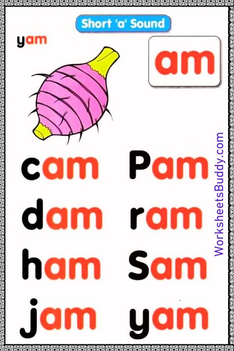 Build Literacy Skills with AM Word Family Worksheets Am Word Family, Am Words, Family Worksheets, Phonics For Kids, Family Word, Cvc Words Kindergarten, Phonics Posters, Word Family Worksheets, Learning Phonics