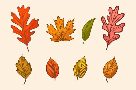 Free vector hand drawn autumn leaves col... | Free Vector #Freepik #freevector #autumn-leaves #fall-leaves #fall #autumn Fall Leaves Drawing, Fall Leaves Svg, Leaves Drawing, Shrink Plastic Jewelry, Leaf Clipart, Svg Images, Leaf Drawing, Leaves Vector, Window Painting