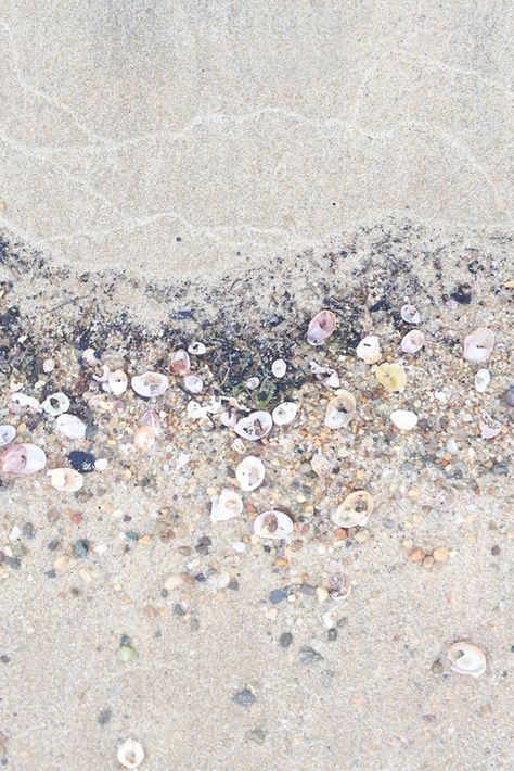 . Nature, Sand Patterns Texture, Shells On Beach, Veggie Paella, Ocean Patterns, Eye Swoon, Beach Texture, Sand Design, Sea Inspiration