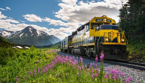 Best Roller Coasters, Alaska Railroad, Kenai Fjords National Park, Kenai Fjords, Anchorage Alaska, Slow Travel, Alaska Travel, Photo Blog, Dog Sledding