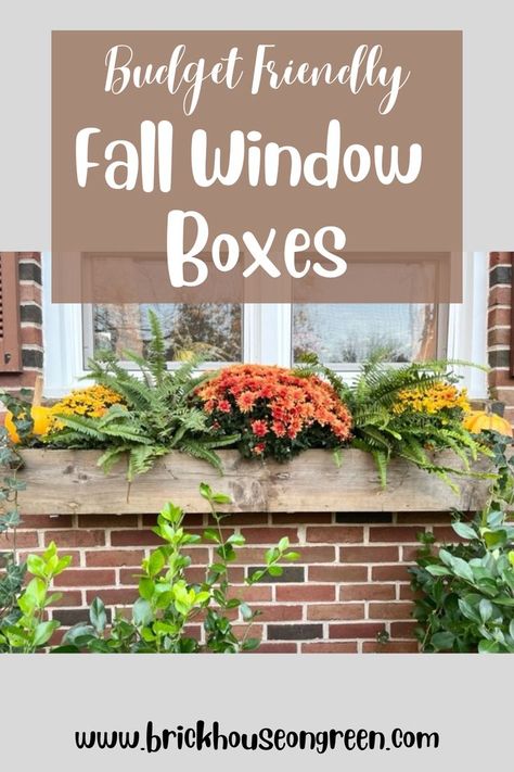 Budget friendly fall window box | Budget friendly fall window box with pumpkins and mums | How to make a beautiful, budget friendly fall window box | Fall window box ideas | Fall window box decor | Fall window box idea with pumpkins and mums | Fall window box with pumpkins | Fall window box with mums | DIY budget friendly fall window box Window Box Decor, Fall Flower Boxes, Window Box Ideas, Window Baskets, Winter Window Boxes, Fall Window Boxes, Mums In Pumpkins, Window Boxes Diy, Fall Windows