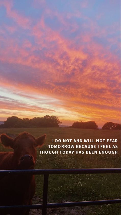 Western Wallpaper Lyrics, Country Life Wallpaper Iphone, Aesthetic Zach Bryan Wallpaper, Country Song Backgrounds, Fear And Fridays Zach Bryan Wallpaper, Wallpapers Zach Bryan, Zach Bryan Lockscreen, Fear And Fridays Zach Bryan Poem, Zb Wallpaper