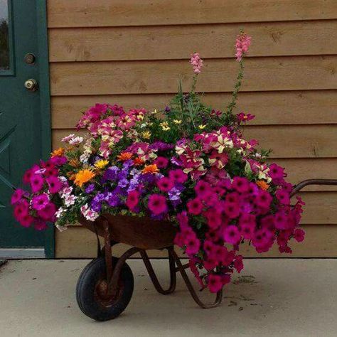 Wheelbarrow Flowers, Front Yard Flowers, Wheelbarrow Planter, Wheelbarrow Garden, Wheel Barrow, Container Gardening Flowers, Yard Project, Have Inspiration, Garden Containers