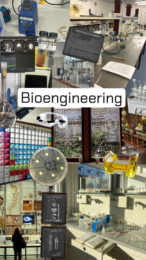 #bioengineering #engineering #biology #study Biology Major, College Vision Board, Medical Engineering, Law School Inspiration, Stem Careers, Basic Anatomy And Physiology, Robotics Engineering, Med School Motivation, Medical Laboratory Science