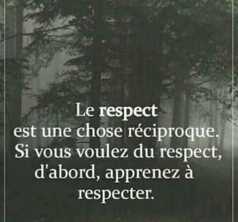 Respect Citation, Belle Citation, Le Respect