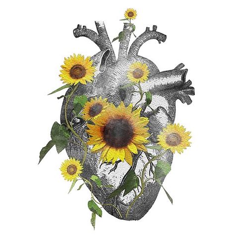 Sunflowers Watercolor, Blooming Heart, Tattoo Sunflower, Anatomical Heart Tattoo, Heart Ideas, Logo Youtube, Sunflower Hearts, Tattoos Mandala, Day Of The Dead Art