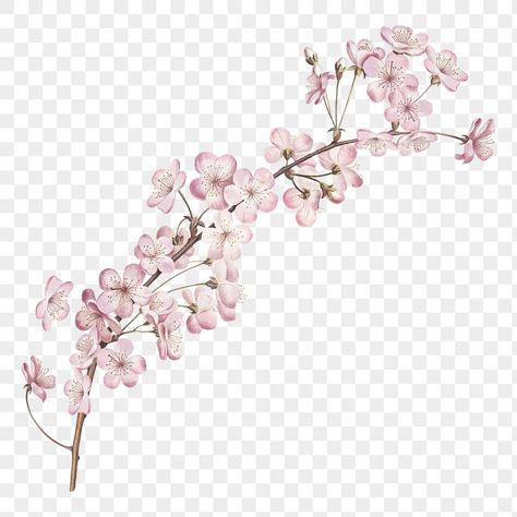 Pink Icons Transparent Background, Pink Flower Transparent Background, Pink Stickers Png, Cute Transparent Icons, Flower No Background, Flower Png Aesthetic, Pink Png Aesthetic, Anime Transparent Background, Pink Transparent Png