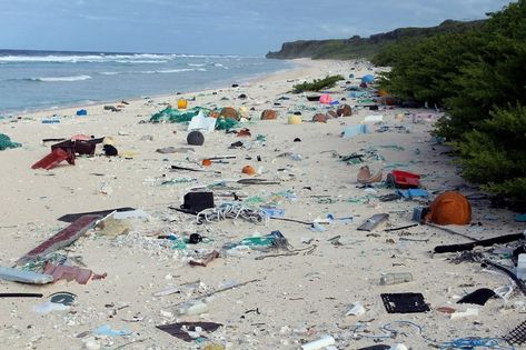 henderson-island-1 Marine Debris, Marine Pollution, Uninhabited Island, Remote Island, Desert Island, Galapagos Islands, Nature Conservation, North Beach, Sea Birds