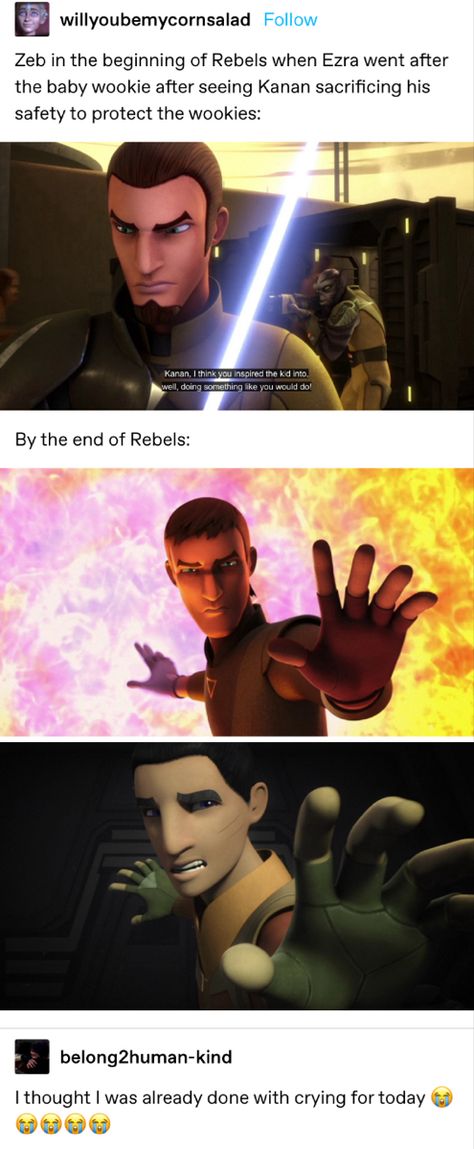 Sw Rebels Fanart, Star Wars Rebels Memes Funny, Star Wars Rebels Funny, Star Wars Rebels Fanart, Rebels Star Wars, Star Wars Characters Poster, Starwars Rebels, Ahsoka Series, Sw Rebels