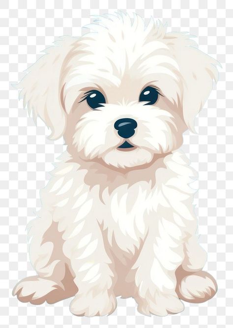 Fluffy White Dog Drawing, Pet Portraits Illustration, Maltese Clipart, Cute Puppy Drawing, Puppies Aesthetic, Puppy Drawing Easy, Morkie Puppies, Puppy Drawing, Aesthetic Png