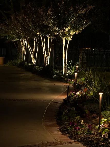 7 Reasons Why You Need Lighitng For Your Home by Landscape Lighting and Design Drive Way Lights Ideas, Driveway Landscape Lighting, Flowerbed Lighting, Tropical Landscape Lighting, Planter Lighting, Garden Lighting Design, Blitz Design, Driveway Lighting, Landscape Lighting Design