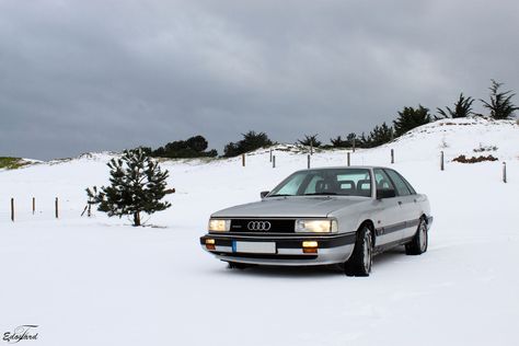 Audi 200 Quattro 20v Audi 200, Dog Biting, Audi Quattro, Car Photography, Cars And Motorcycles, Audi