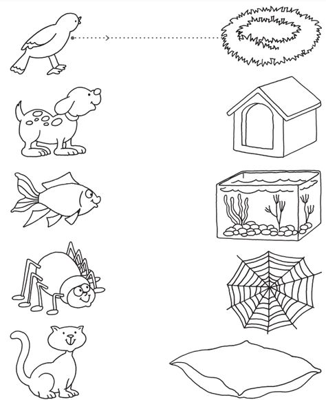 Free printable science worksheets for Preschools - Animals 16 Nature Preschool Worksheets, Lkg Science Worksheets, Fun Preschool Worksheets Free Printable, Nocturnal Animals Preschool Worksheets, Preschool Science Printables, Worksheet On Animals For Kindergarten, Prek Science Worksheets, Pet Worksheets Preschool Free Printable, Easy Worksheets For Kids