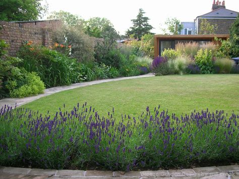 Curvy lawn and garden office Oval Lawn, Town Garden, Evergreen Landscape, Scandinavian Garden, Country Garden Decor, Courtyard Gardens Design, Back Garden Design, Garden Screening, London Garden