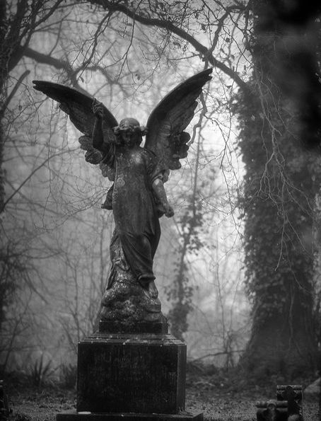 Sufrió demasiado para no ser para siempre Angel Statues Sculpture, Cemetery Angels, Cemetery Statues, I Believe In Angels, Angel Sculpture, Ange Demon, Old Cemeteries, Cemetery Art, Angels Among Us