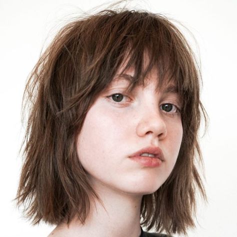 Layered Modern French Bob with Face Framing Fringe Bangs and Messy Just a Bend Texture on Black Hair - The Latest Hairstyles for Men and Women (2020) - Hairstyleology Warm Brunette Hair Color, Thermal Brush, Brunette Medium, Warm Hair Color, Warm Brunette, Messy Haircut, Shaggy Haircuts, Medium Hair Cuts, Face Framing