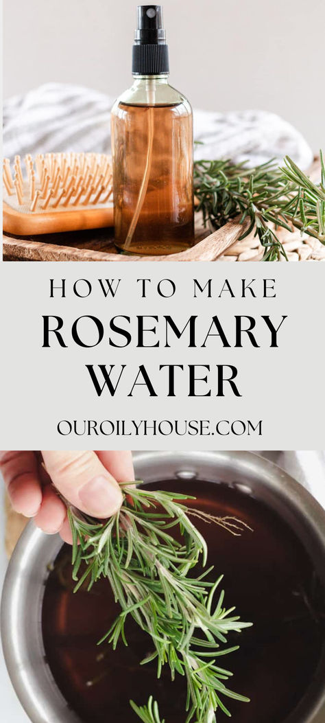 Rosemary For Hair, Rosemary Water, Rosemary Oil For Hair, Healthy Natural Hair Growth, Herbal Recipes, For Healthy Hair, Rosemary Sprigs, Healthy Natural Hair, Rosemary Oil