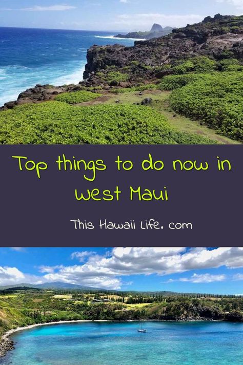 Top things to do in West Maui Hawaii Cruise, United States Travel Bucket Lists, Maui Snorkeling, Usa Places To Visit, West Maui, Hawaii Photography, Cool Things To Do, Visit Usa, Travel Bucket List Usa