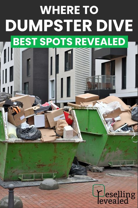 ♻️🔍 Ever wondered where the treasure spots for dumpster diving are? Turn one man's trash into your treasure! Dive into our guide to unveil the best locations to score unexpected gems. Curious about the hidden spots only the pros know? Tap to uncover the secrets! 👉 #DumpsterDivingTips #TreasureHunting #EcoFriendlyFinds Dumpster Reference, Dumpster Diving Aesthetic, Dumpster In Alley, Garbage Dumpster, Dumpster Diving Finds, Dumpster Diver, Organic Food Store, Dumpster Diving, Dumpsters