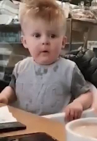 Wow Omg GIF - Wow Omg Surprised - Discover & Share GIFs Omg Face, Gamecock Football, Gif Photos, Haha Gif, Nice Gif, Surprise Face, Gif Photo, My Face When, Perfect Gif