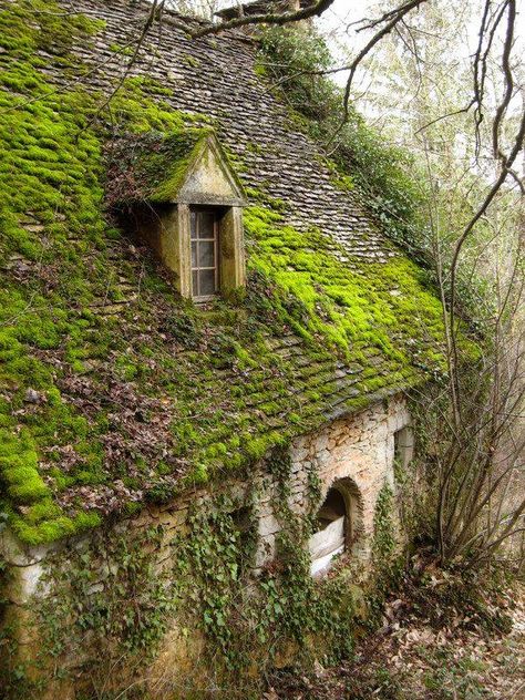 Moss covered Scottish cottage Mossy Cottage, Cottage In The Forest, Ancient Houses, Forest Aesthetic, Abandoned House, Abandoned Mansions, Abandoned Buildings, Old Building, Old Buildings