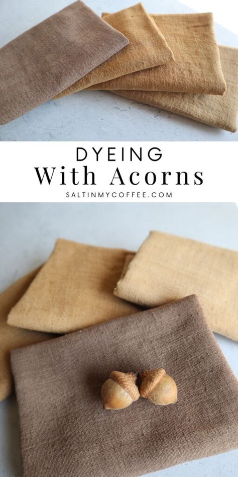 Dyeing With Acorns, Natural Dyes Color Palette, Natural Dye Techniques, Natural Plant Dyes, Acorn Uses, Natural Dyes For Fabric, Natural Black Dye, Acorn Dye, Natural Fabric Dye