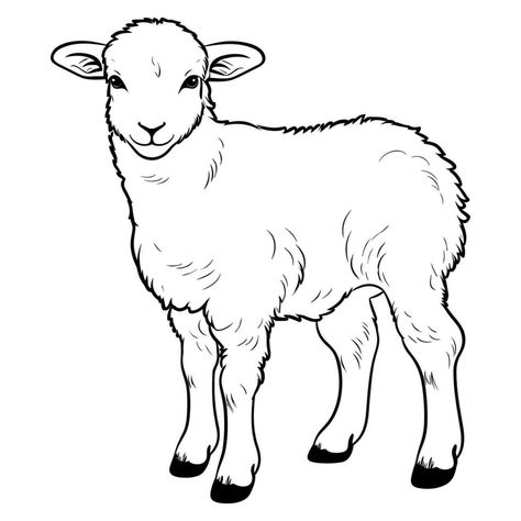 Cute sheep coloring page Lamb Template, Sheep Outline, Sheep Coloring Page, Sheep Template, Lamb Drawing, Sheep Drawing, Rustic Painting, Linocut Printmaking, Cute Lamb