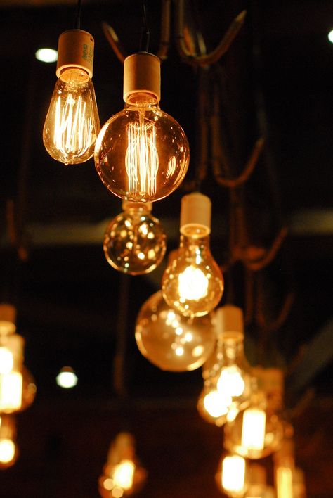 Solar Energy Diy, Charlotte's Web, Antique Light Fixtures, Vintage Light Bulbs, Filament Bulb Lighting, Nice Quotes, Edison Lighting, Thomas Edison, Steampunk Lamp