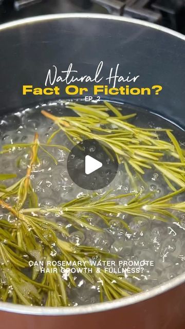 Kinzey Rae on Instagram: "It’s believed that rosemary water can help increase circulation to your scalp and promote hair growth! 🤩🌿

I’ll be testing this out for 30 days to see if my hair grows at a faster rate than normal. 

Things I used: 
• continuous spray bottle
• mini funnels
• a strainer
• a measuring cup
• 3 cups of distilled water
• organic rosemary 

Will you be trying this?

*Disclaimer* I am not a medical or hair professional. The content in this video is based off opinion and personal research and should not be considered as medical advice. 

#rosemarywater #rosemarywaterforhairgrowth #rosemarywaterforhair #hairgrowthtips #hairgrowth" How To Use Rosemary Water, Hair Growth Water Spray, Rose Marry Water For Hair Growth, Rosemary Hair Growth Spray, Rosemary Water For Hair Growth, Turkey Chili Recipe Easy, Rosemary Water, Hair Facts, Increase Circulation