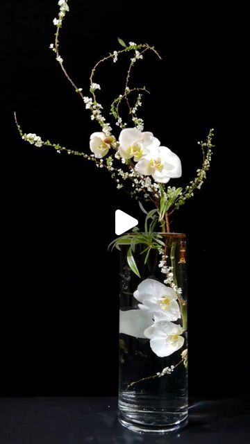 extreme on Instagram: ""Embrace the purity of white with this mesmerizing flower arrangement. Each petal whispers serenity, while the arrangement exudes elegance and grace. Let the delicate blooms transport you to a realm of tranquillity and beauty. #WhiteFlowerMagic #EleganceInBloom #SerenityInWhite #FloralArtistry #PureAndBeautiful #BloomsOfGrace #InstaFlowers #FlowerArrangement #WhiteFlowerLove #FlowerPower" Elegant Flower Arrangements, Travel Portugal, Vases Glass, Creative Flower Arrangements, Arrangement Ideas, Garden Terrarium, Flower Arranging, Flower Quotes, April 12