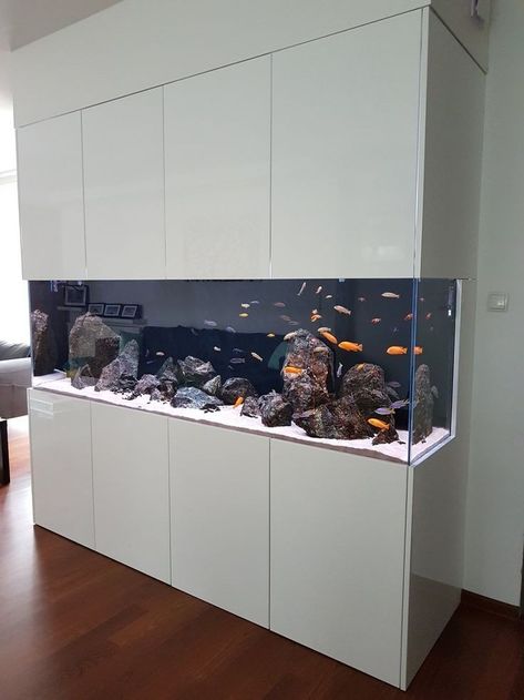 Best Aquarium Design, Large Fish Tank Ideas Living Rooms, Aquarium Fish Tank Living Rooms, Aquarium Design Fish Tanks, In Wall Aquarium, Fish Aquarium Ideas, Modern Fish Tank, Modern Aquarium, Home Fish Tank