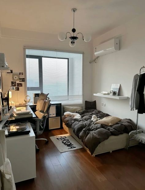 Cozy Room Modern, Single Bedroom Idea, Simple Bedroom Ideas For Small Rooms Minimalist, Room Ideas For Men Bedroom Modern, Light Grey Room Aesthetic, Aesthetic Bedroom Layout, Clean Boy Room Aesthetic, Acubi Bedroom Ideas, Bed Setup Ideas