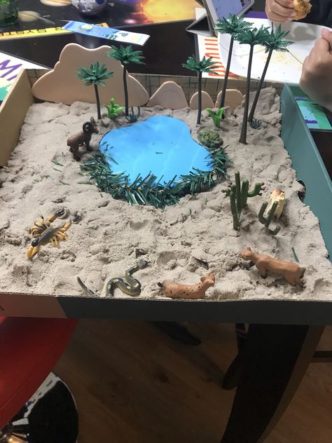 Made this oasis/ desert diorama for school project! Ideas For School Projects, Ecosystems Diorama, Desert Project, Biomes Project, Desert Diorama, Diorama Kids, Diarama Ideas, Ecosystems Projects, Desert Biome