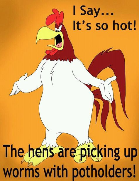 Foghorn leghorn ~  It's so hot the hen's are picking up worms with potholders! Foghorn Leghorn Quotes, Foghorn Leghorn, It's So Hot, Looney Tunes Characters, Looney Tunes Cartoons, Morning Cartoon, Classic Cartoon Characters, Funny Cartoon Quotes, Cartoon Quotes