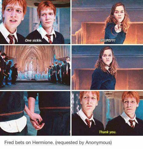 Fremione is adorable but I can't bare to ship it because I would get too emotional. Fred And Hermione, Fred And George, Fred And George Weasley, Images Harry Potter, Yer A Wizard Harry, Weasley Twins, Fred Weasley, George Weasley, Harry Potter 2