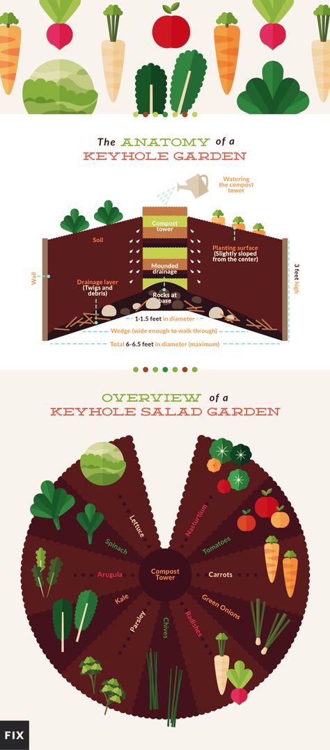 Keyhole Gardening, Terrace Plants, Salad Garden, Herb Container, Keyhole Garden, Plant Vegetables, Vegetable Garden Beds, Plants House, Indoor Balcony