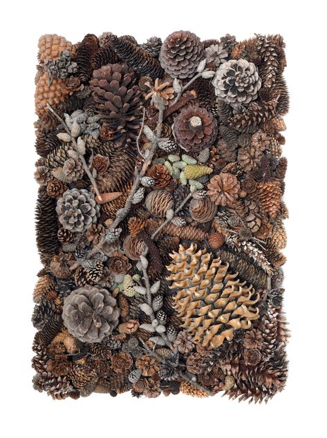 committed by Mary Jo Hoffman STILL Mary Jo Hoffman, Embellished Clothing, Southern France, Flat Lay Photography, Embroidery Fabric, Scene Photo, Pine Cone, Natural Environment, Fabric Art