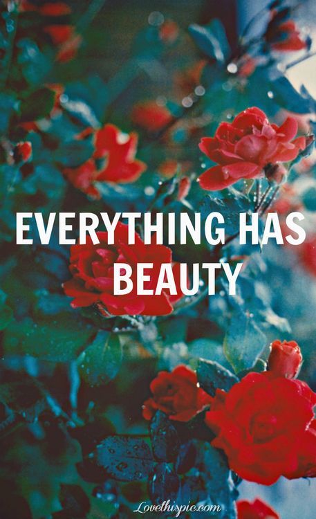 Be you, thats what's beautiful! #inspire #quote #roses Beauty Words, Quotes About Photography, Inspirational Quotes Pictures, Flower Quotes, Trendy Quotes, Beauty Quotes, Life Is Beautiful, Picture Quotes, Beautiful Words