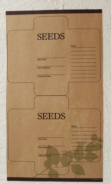 Seed Envelopes Diy Free Printable, Diy Seed Packets, Seed Packet Template, Seed Envelopes, Seed Library, Heirloom Tomato Seeds, Seed Box, Seed Packaging, Southern Garden