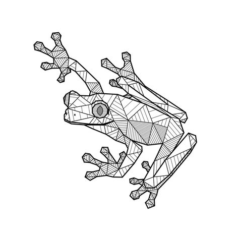 Geometric Frog Tattoo, Frog Line Art, Tree Frog Drawing, Geometric Frog, Frog Tattoos, Pop Art Animals, Frog Drawing, Stick Art, Geometric Drawing