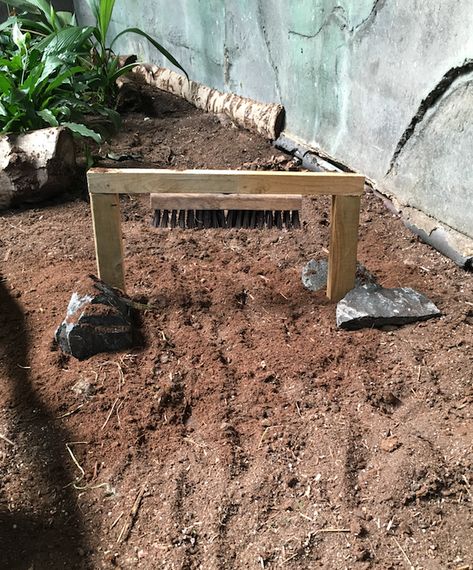 Tortoise Shell Scratcher Reptiles - Sulcata Tortoise Enrichment, Sulcata Tortoise Enclosure Outdoor, Tortoise Enrichment Ideas, Tortoise Tank Ideas, Tortoise Enrichment, Reptile Enrichment, Desert Turtle, Tortoise Enclosure Indoor, Tartaruga Habitat