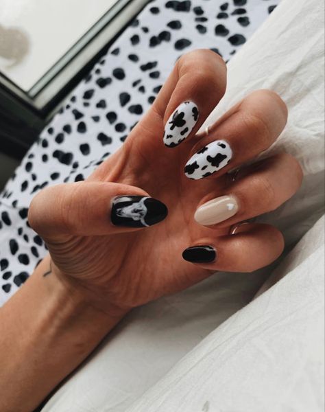 #western #punchy #nails #cowprint #yeehaw #howdy #spacecowgirl Punchy Western Nails, Western Style Nails, Punchy Nails, Country Acrylic Nails, Rodeo Nails, Cowboy Nails, Concert Nails, Aztec Nails, Feather Nails