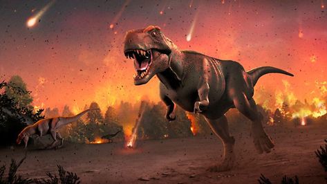 Dinosaur extinction: 'Asteroid strike was real culprit' Dinosaurs Extinction, Tata Surya, Dinosaur Facts, Earth Images, Film Disney, Perfect Storm, Dinosaur Art, Space Rock, Tyrannosaurus Rex