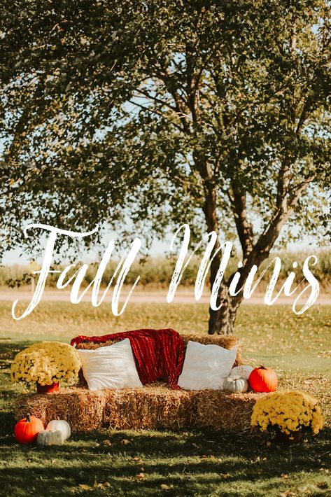 Fall Pictures Props, Natal, Fall Mini Sessions Hay Bales, Diy Fall Photo Backdrop Outdoor, Fall Outdoor Photoshoot Setup Family, Simple Fall Photoshoot Setup, Halloween Photoshoot Setup Ideas, Fall Family Mini Sessions Set Up Outdoor, Fall Family Picture Background Ideas