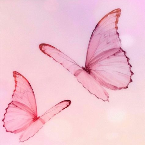 Image uploaded by lolita. Find images and videos about pink, soft and butterfly on We Heart It - the app to get lost in what you love. Princess And The Pauper, Baby Pink Aesthetic, Luna Lovegood, Barbie Princess, Barbie Movies, Pink Butterfly, Pink Aesthetic, Digimon, Wall Collage