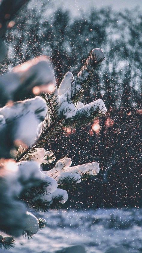 December Wallpaper Aesthetic, Christmas Wallpapers Tumblr, Christmas Lights Wallpaper, December Wallpaper, Iphone Wallpaper Winter, Xmas Wallpaper, Christmas Wallpaper Backgrounds, Christmas Aesthetic Wallpaper, Christmas Phone Wallpaper