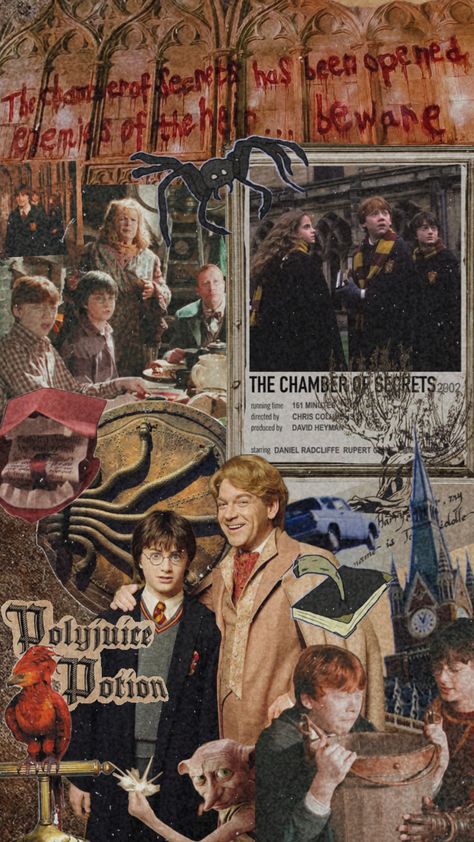 #harrypotter #harrypotterandthechamberofsecrets #chamberofsecrets #harry #potter Daniel Radcliffe, Harry Potter