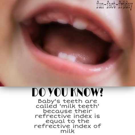 Fun_fact_fridays. Baby's teeth are called 'milk teeth' Milk Teeth, Fun Fact Friday, Dental Facts, Dental School, Baby Teeth, Did You Know, Milk, Fun Facts