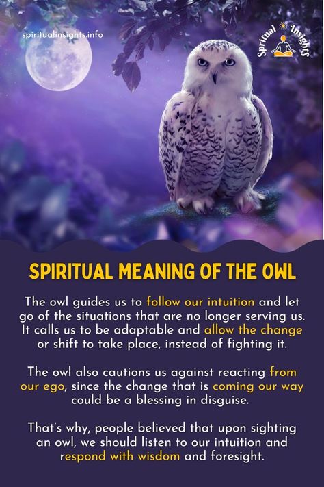 Spiritual Meaning of the Owl Dragon Symbolism, Animal Totem Spirit Guides, Owl Symbolism, Symbolism Meaning, Lover Anime, Spirit Animal Meaning, Animal Meanings, Spirit Animal Totem, Animal Spirit Guide